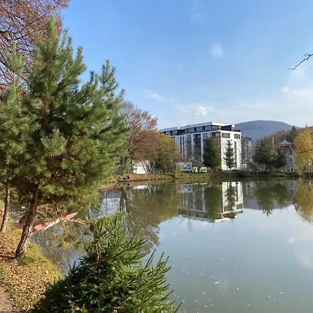 Park Apartamento Polyana (Transcarpathia)